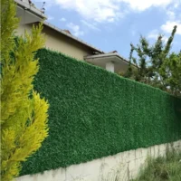 Декоративна зелена огорожа біля будинку