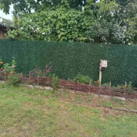 Декоративний зелений паркан у саду