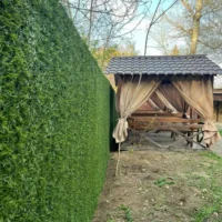 Декоративний зелений паркан із штучної трави на сітці висотою 1,6 м для огорожі двору