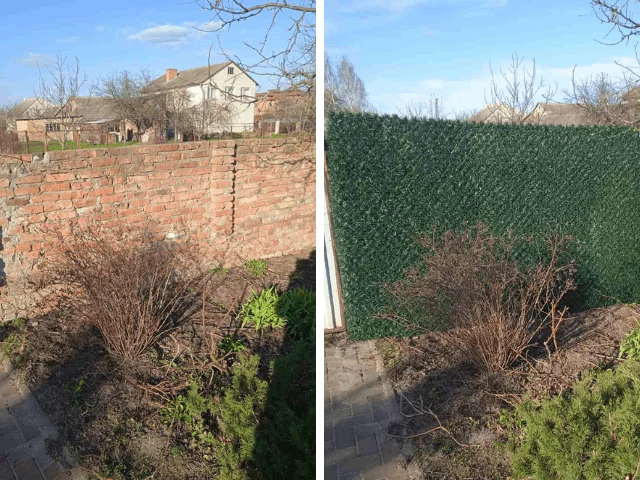 Приклад до і після встановлення декоративного паркану зі штучної хвої