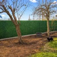 Зелений декоративний паркан на довгій огорожі біля саду