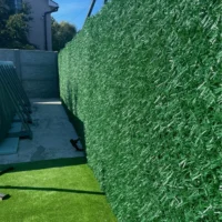 Зелений декоративний паркан на сітці рабиця у дворі приватного будинку