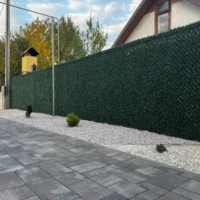 Зелений декоративний паркан у ландшафтному дизайні