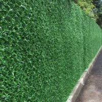 Зелений декоративний паркан вздовж доріжки