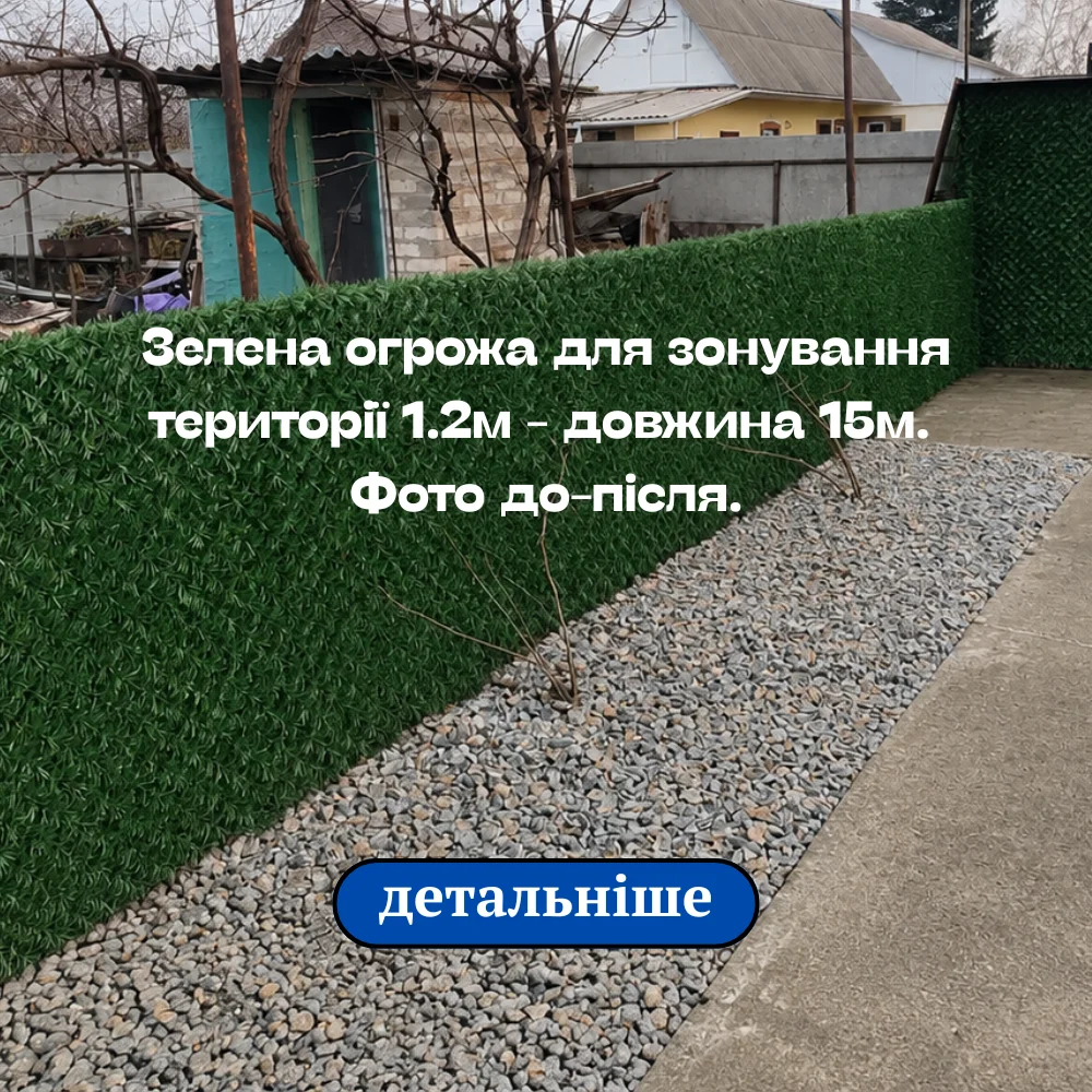 Зелена огорожа для зонування території 1.2 м довжиною 15 м фото до та після