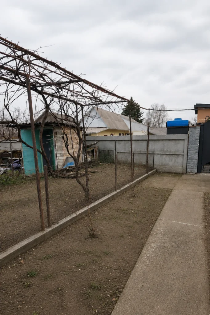 Територія до встановлення зеленої огорожі для зонування ділянки
